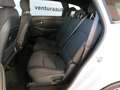 Kia Carens 1.7 CRDI 115 CV CLASS MT 5P.TI Bianco - thumbnail 12