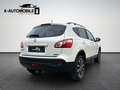 Nissan Qashqai 1.6 dCi DPF 360° Kamera Panorama Dach Weiß - thumbnail 6