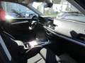 Audi Q5 2,0 TDI quattro sport S-tronic Blau - thumbnail 11