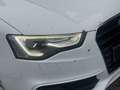 Audi A5 A5 Sportback 2.0 TDi Diesel S line NAVI XEN CUIR Blanc - thumbnail 16