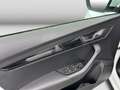 Skoda Karoq 1.5TSI DSG Style Navi Tempo Sitzh Einparkh Wit - thumbnail 14