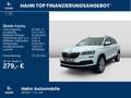 Skoda Karoq 1.5TSI DSG Style Navi Tempo Sitzh Einparkh Wit - thumbnail 2