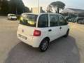 Fiat Multipla Multipla 1.6 16v ELX bipower tg. DY281SV Weiß - thumbnail 5