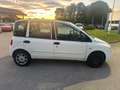 Fiat Multipla Multipla 1.6 16v ELX bipower tg. DY281SV Weiß - thumbnail 4