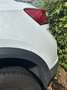 Volkswagen T-Roc 1.0 TSI Wit - thumbnail 12