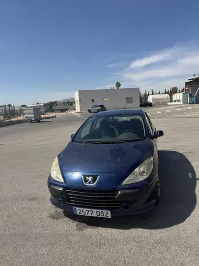 Peugeot 307 2.0 HDI XR 2005