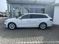Skoda Octavia Combi 1.5G-TEC DSG FIRST EDITION*VC*LED Weiß - thumbnail 22