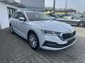 Skoda Octavia Combi 1.5G-TEC DSG FIRST EDITION*VC*LED Weiß - thumbnail 4