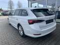 Skoda Octavia Combi 1.5G-TEC DSG FIRST EDITION*VC*LED Weiß - thumbnail 7