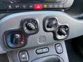 Fiat Panda Panda 1.0 hybrid City Life 70cv - Prezzo Vero Weiß - thumbnail 13