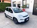 Fiat Panda Panda 1.0 hybrid City Life 70cv - Prezzo Vero Weiß - thumbnail 2