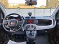 Fiat Panda Panda 1.0 hybrid City Life 70cv - Prezzo Vero Weiß - thumbnail 9