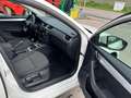 Skoda Octavia Tempomat *Erst Besitz* Weiß - thumbnail 16