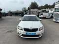 Skoda Octavia Tempomat *Erst Besitz* Weiß - thumbnail 2