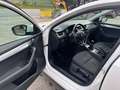 Skoda Octavia Tempomat *Erst Besitz* Weiß - thumbnail 9