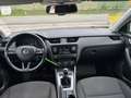 Skoda Octavia Tempomat *Erst Besitz* Weiß - thumbnail 15