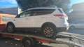Ford Kuga Kuga II Wit - thumbnail 6
