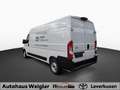 Toyota Proace Max H2 Kasten 35 L3H2 BlueHDi 140 Work Weiß - thumbnail 4
