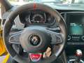 Renault Megane TCe 280 GPF R.S. Geel - thumbnail 10