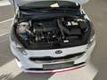 Kia ProCeed / pro_cee'd ProCeed GT|1.HD|ACC|19"|H&R|JBL|CarPlay|Kamera Blanc - thumbnail 31