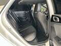 Kia ProCeed / pro_cee'd ProCeed GT|1.HD|ACC|19"|H&R|JBL|CarPlay|Kamera Blanc - thumbnail 27