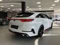 Kia ProCeed / pro_cee'd ProCeed GT|1.HD|ACC|19"|H&R|JBL|CarPlay|Kamera Blanc - thumbnail 11