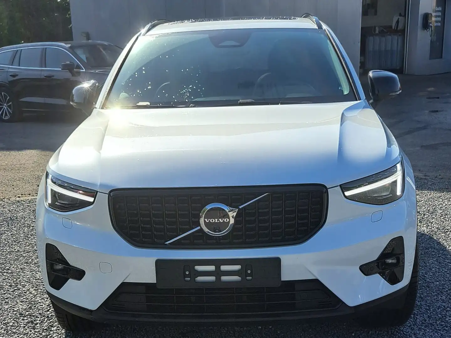 Volvo XC40 XC40 2.0 B3 MHEV Plus Dark Design DCT Wit - 1