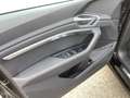 Audi e-tron 50 q. advanced, Matrix LED, Panorama, AHK Zwart - thumbnail 14