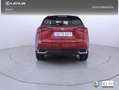 Lexus NX 300 300h Business Navigation 2WD Rouge - thumbnail 5
