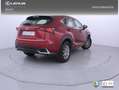 Lexus NX 300 300h Business Navigation 2WD Rouge - thumbnail 24