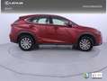 Lexus NX 300 300h Business Navigation 2WD Rouge - thumbnail 23