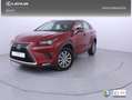 Lexus NX 300 300h Business Navigation 2WD Rouge - thumbnail 1