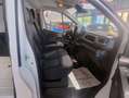 Nissan Primastar Primastar 30 2.0 dCi 130CV L2H1 Furgone Acenta Bianco - thumbnail 8