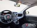 Fiat Panda 1.0 FireFly S&S Hybrid Gris - thumbnail 10