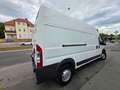Citroen Jumper Grossraumkasten 35 L3H3 HDi 120 Heavy Weiß - thumbnail 3