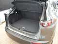 Mazda CX-30 2.0 SKYACTIV-G M Hybrid Selection 2WD Grau - thumbnail 5