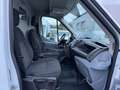 Ford Transit Kasten 350 L2 Trend/Automatik/Tempomat+ Blanco - thumbnail 8