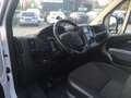 Peugeot Boxer H2L4 Blanc - thumbnail 10