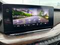 Skoda Octavia Combi Scout 4x4 LED NAV PANO KAMERA AHK Gris - thumbnail 29