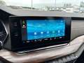 Skoda Octavia Combi Scout 4x4 LED NAV PANO KAMERA AHK Gris - thumbnail 28
