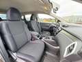 Nissan Qashqai 1.5 dCi DPF Visia Tempomat Brun - thumbnail 9