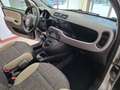 Fiat Panda Panda III 2012 4x4 1.3 mjt 16v 4x4 75cv E5+ Gris - thumbnail 22