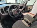 Fiat Panda Panda III 2012 4x4 1.3 mjt 16v 4x4 75cv E5+ Gris - thumbnail 23