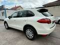Porsche Cayenne S Hybrid Schiebedach*TOP*TUV NEU* Weiß - thumbnail 5