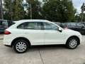 Porsche Cayenne S Hybrid Schiebedach*TOP*TUV NEU* Weiß - thumbnail 8