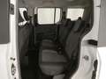 Ford Tourneo Courier II 1.0 ecoboost 125cv Titanium IVA INCLUSA Bianco - thumbnail 8