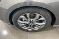 Ford Focus Focus V 2022 1.5 ecoblue ST-Line 115cv auto Grau - thumbnail 12