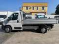 Fiat Ducato RIBALTABILE TRILAT. Blanc - thumbnail 5