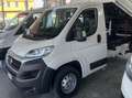 Fiat Ducato RIBALTABILE TRILAT. Blanc - thumbnail 1