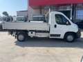 Fiat Ducato RIBALTABILE TRILAT. Blanc - thumbnail 9